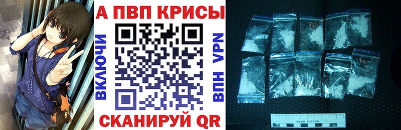 Альфа ПВП СК КРИС  Яранск 