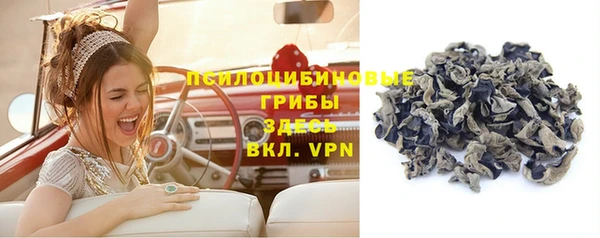 прущие грибы Покровск
