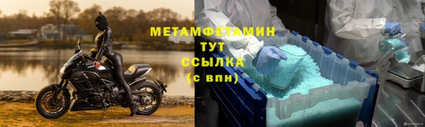 прущие грибы Покровск