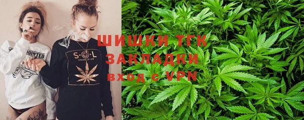 стаф Покачи