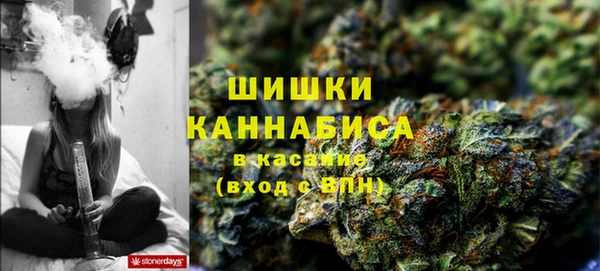 гашик Покров