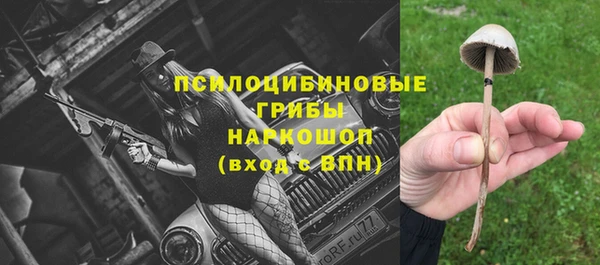 прущие грибы Покровск