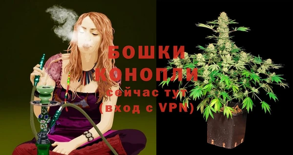 прущие грибы Покровск