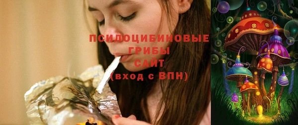 гашик Покров