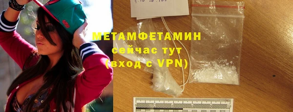 прущие грибы Покровск
