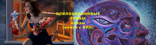 прущие грибы Покровск